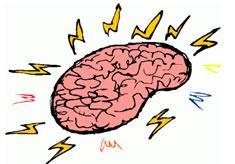 癫痫病主要就是脑部神经的异常，然后导致神经功能方面的紊乱