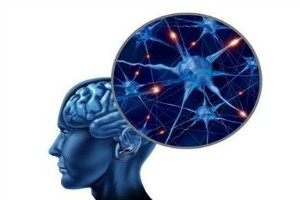 癫痫病患者的病症发作是大脑中的神经元素的影响，会发作一些症状